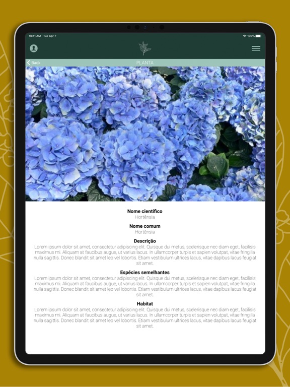Screenshot #6 pour InvasorasCV