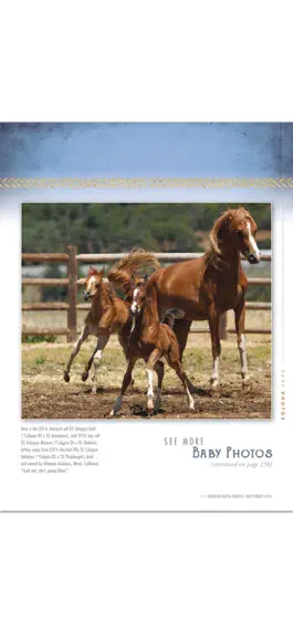 Game screenshot Arabian Horse World Magazine hack