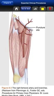 essential clin. procedures 3/e problems & solutions and troubleshooting guide - 3