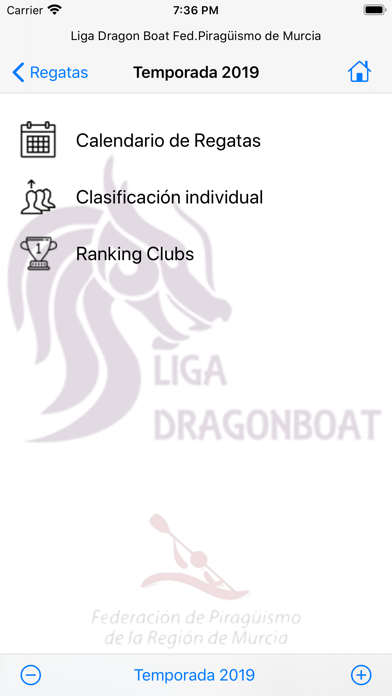 Dragon Boat Murcia Screenshot