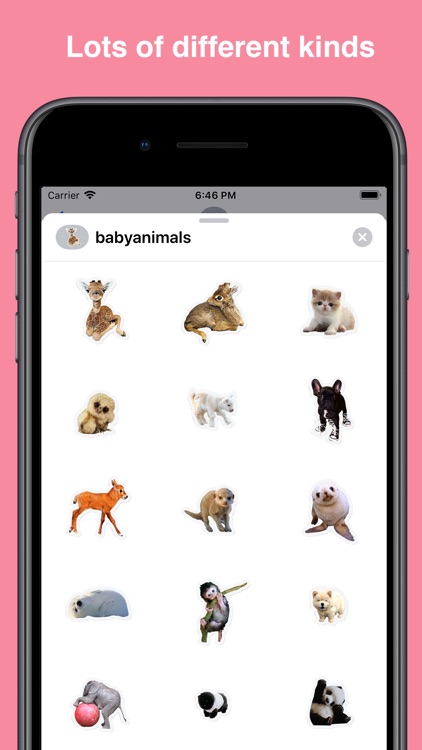 cute baby animals