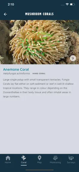 Game screenshot Coral Whitsundays hack