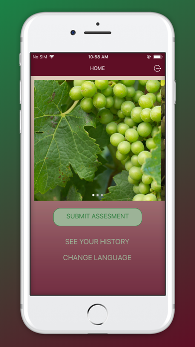 Screenshot #2 pour Vinum App