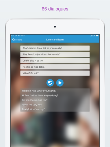 Learn to speak Czech language screenshot 3