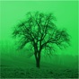 Deciduous trees app download