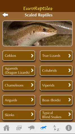 Game screenshot EuroReptiles apk