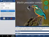 Cantos de Aves Id ipad bilder 2