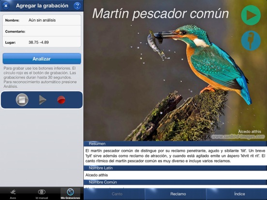 Screenshot #6 pour Cantos de Aves Id