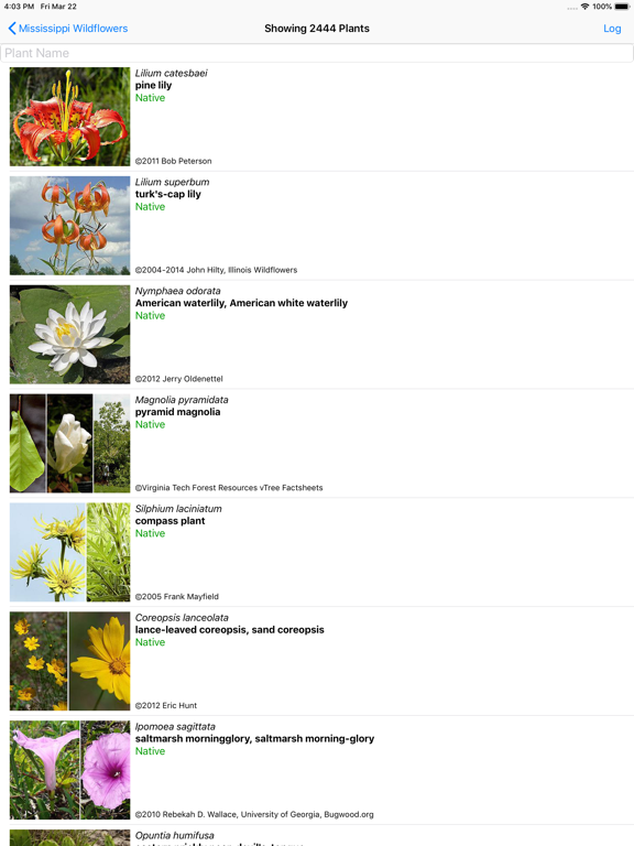 Screenshot #5 pour Mississippi Wildflowers