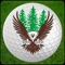 Download our App to enhance your golf experience on the course