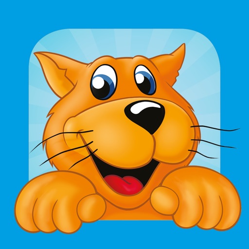 Ballorig Spaar & Speel App