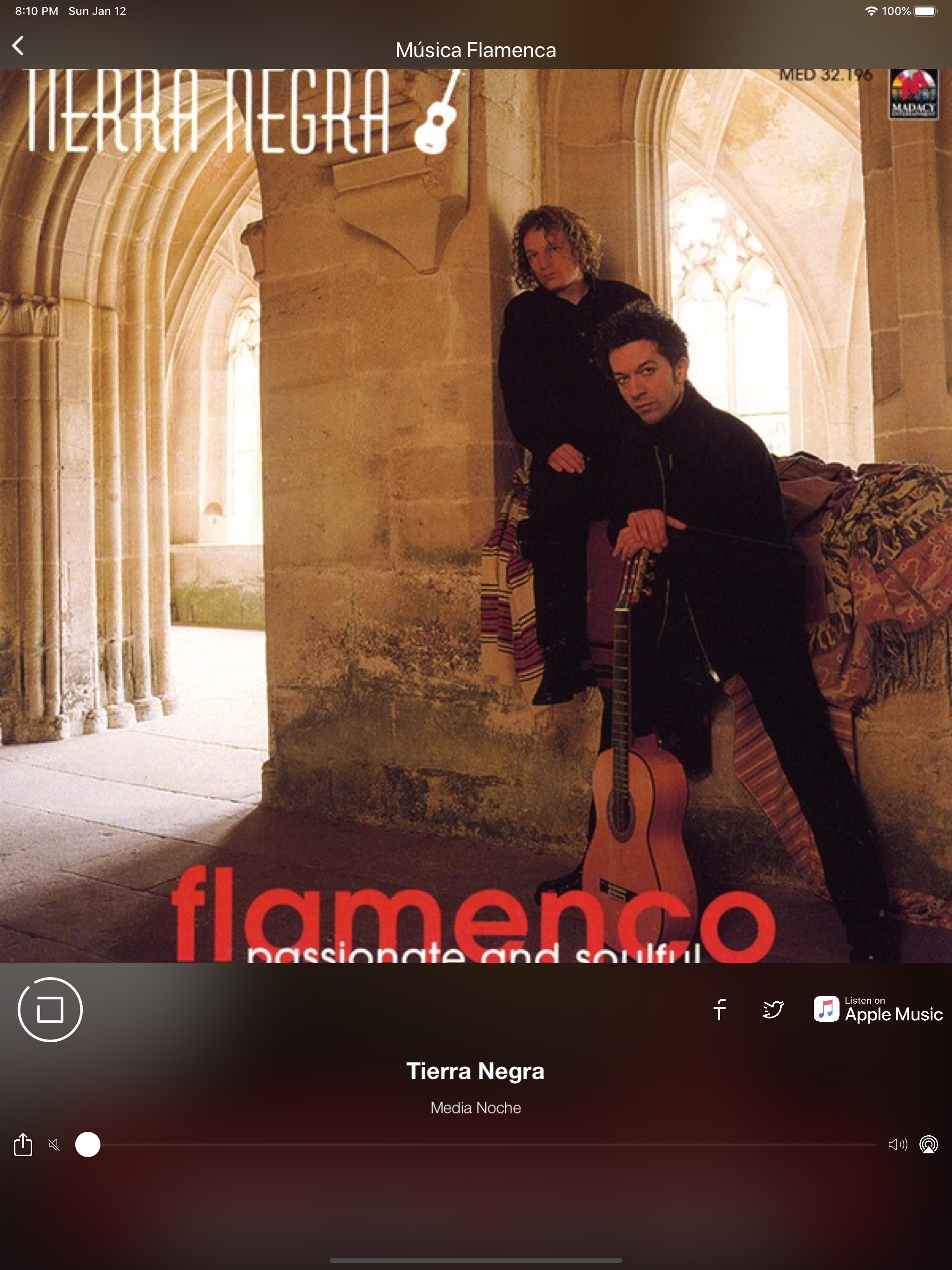 Música Flamenca y Sevillanas