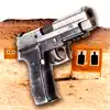 Shooting Range: Desert