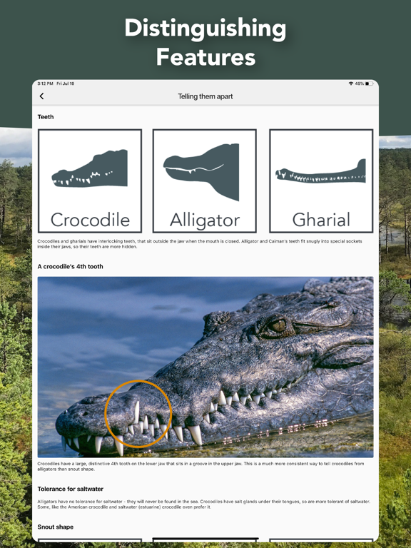 Screenshot #5 pour Crocodile, Alligator, Gharials
