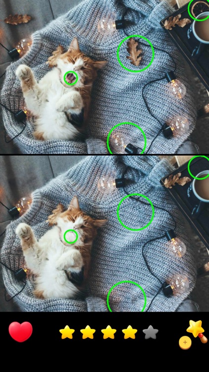 Find the Differences!