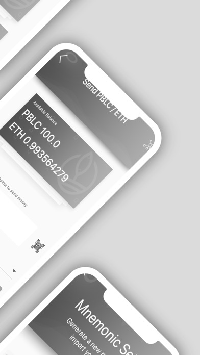 Screenshot #2 pour PBLC Wallet