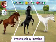 mes histoires de chevaux iPad Captures Décran 4