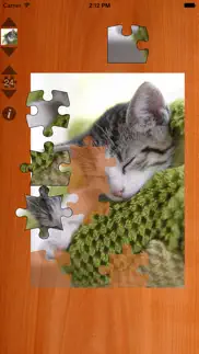 cat puzzles iphone screenshot 1
