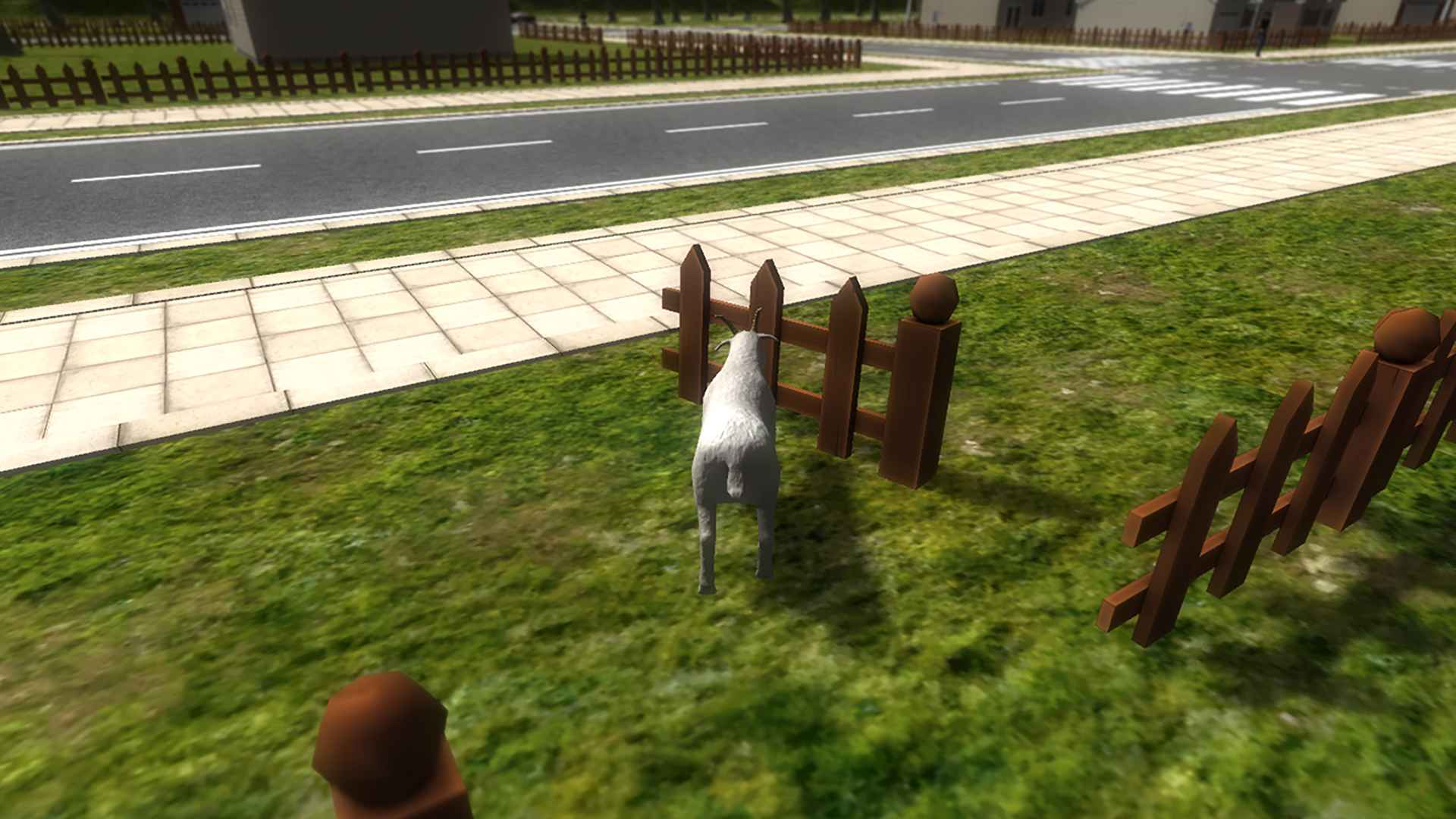 Crazy Goat TV screenshot 4