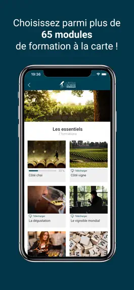 Game screenshot OEnoBordeaux mod apk