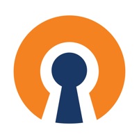 free OpenVPN Client 2.6.6 for iphone download