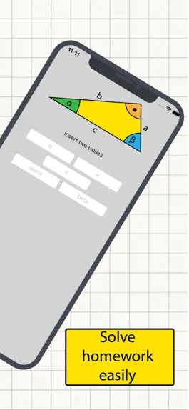 Game screenshot Right Triangle Solver apk