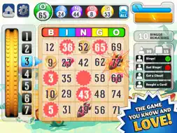 Bingo!™ screenshot 9