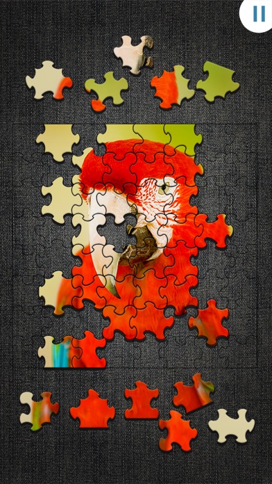 Jigty Jigsaw Puzzles Screenshot