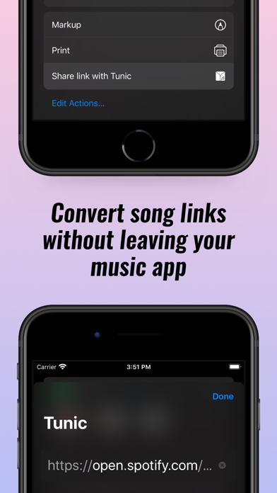 Tunic: Convert music links iPhone screenshot 3 - Music app