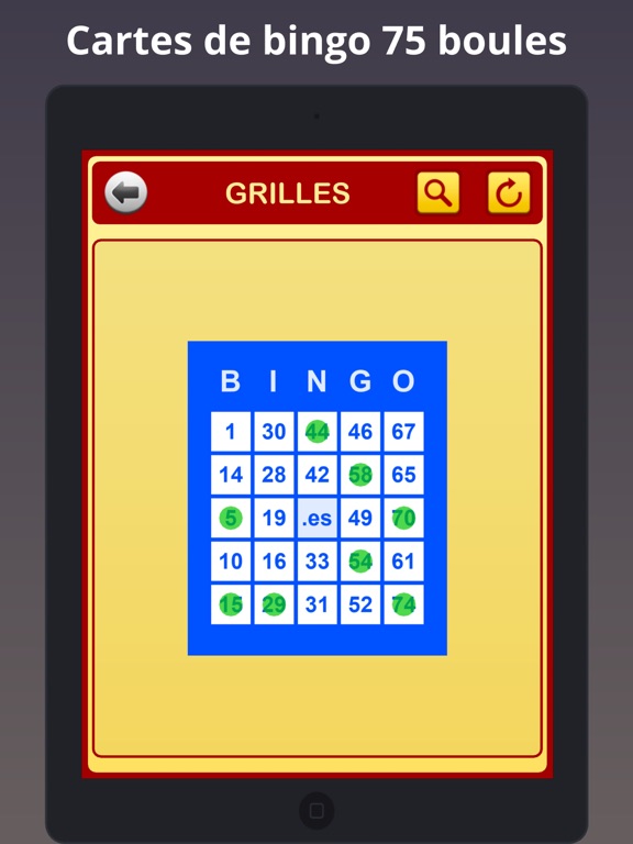 Screenshot #6 pour Grilles de Bingo