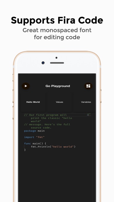 Go Playground screenshot 4