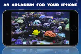 Game screenshot Aquarium HD : Fish Scenes mod apk