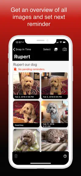 Game screenshot Snap In Time apk