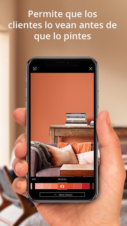 Alba Experto-Decoradores