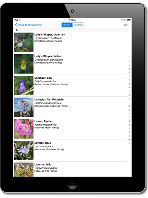 Screenshot #6 pour Flora of Yellowstone