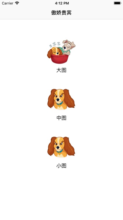 傲娇贵宾