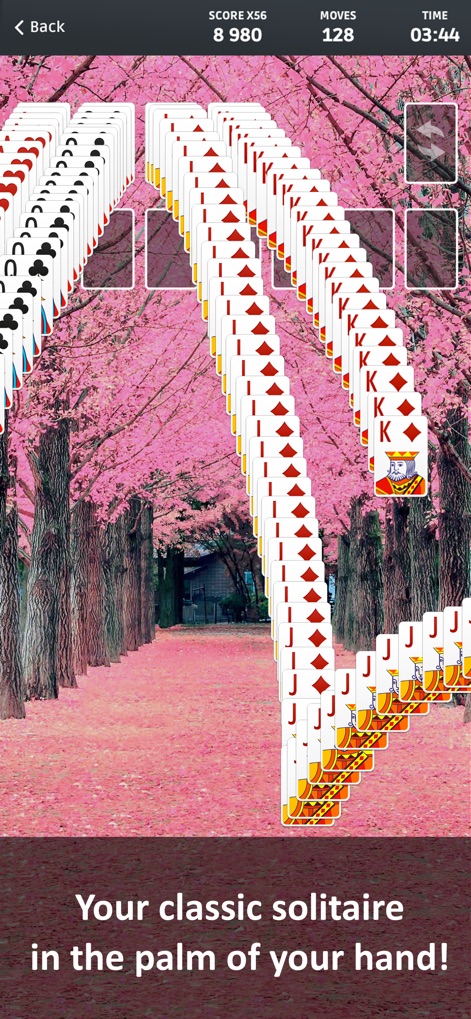 Solitaire ∘ - La aplicación realza la experiencia de victoria con la dinámica animación de cascada de cartas, que se desenvuelve contra el impresionante fondo de cerezos en flor, aumentando el atractivo visual al completar una partida.