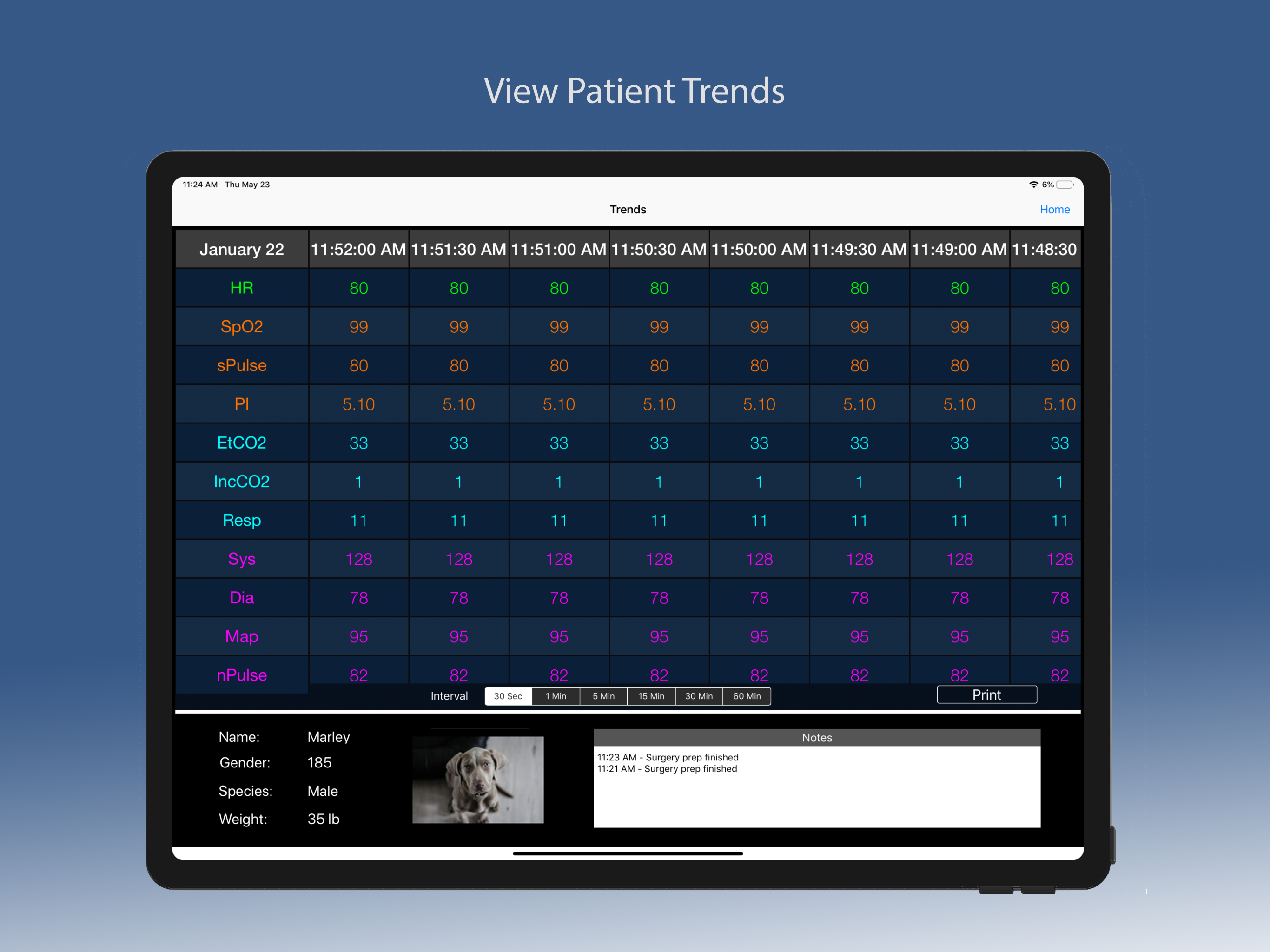 LifeWindow App screenshot 5