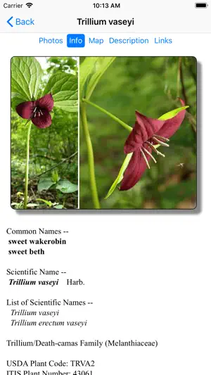 South Carolina Wildflowers screenshot 3