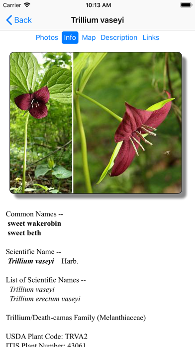 Screenshot #3 pour South Carolina Wildflowers
