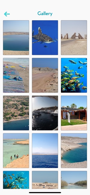 Ras Mohammed(圖5)-速報App