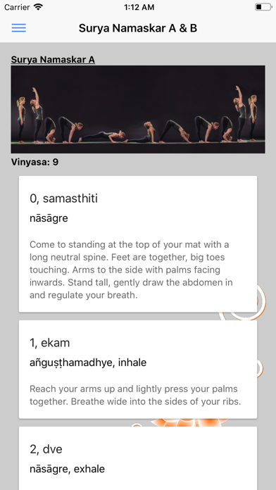 Ashtanga Yoga Primary Series Screenshot