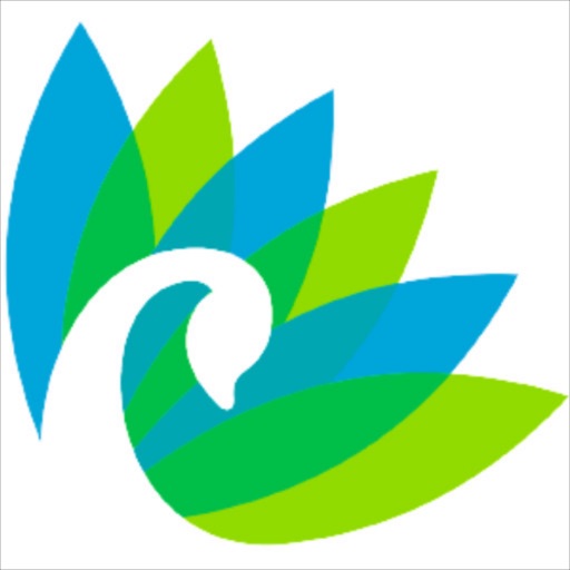 Cygnus International School