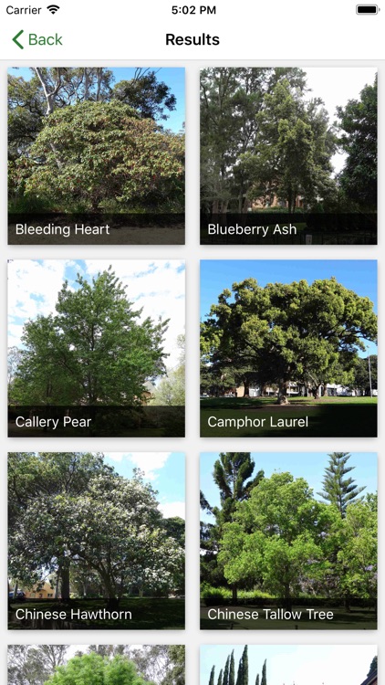 Australian Tree ID screenshot-4
