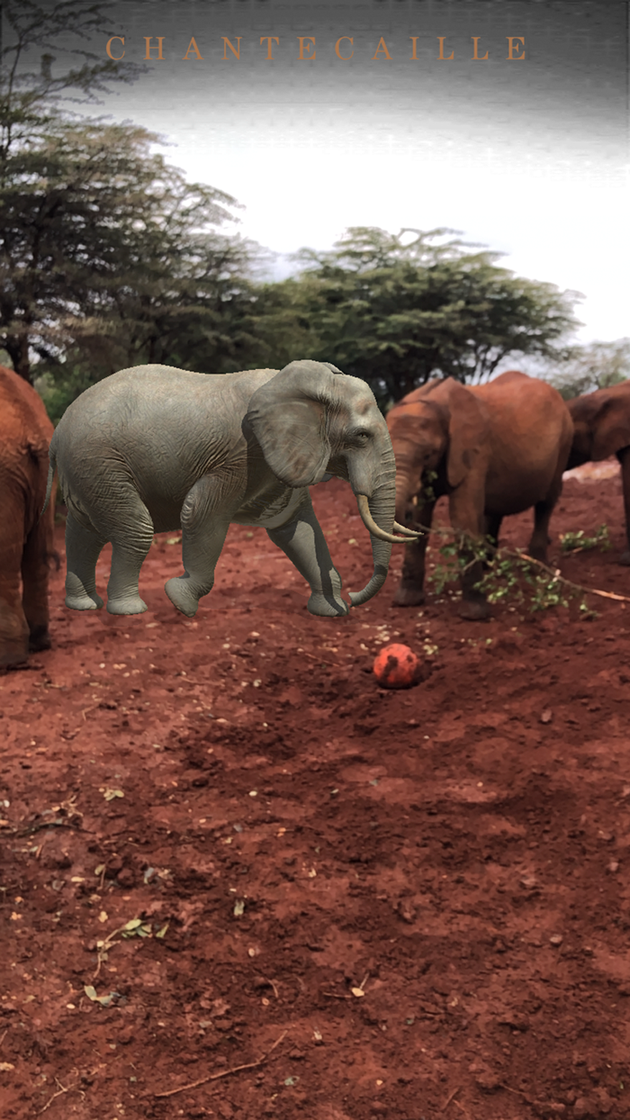 Chantecaille Wild Beauty