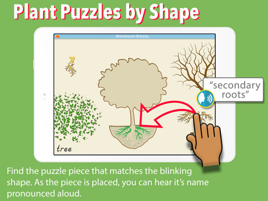 Screenshot #6 pour Learn Botany - Parts of Plants