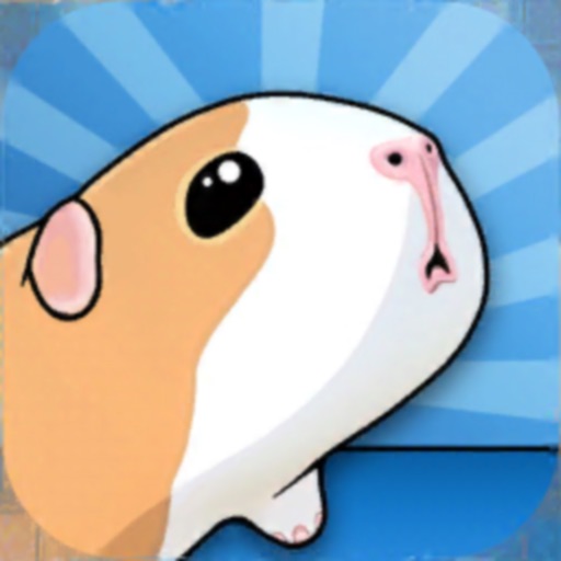 Guinea Pig Bridge! iOS App
