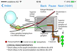 Game screenshot Anatomy Topics in Focus mod apk