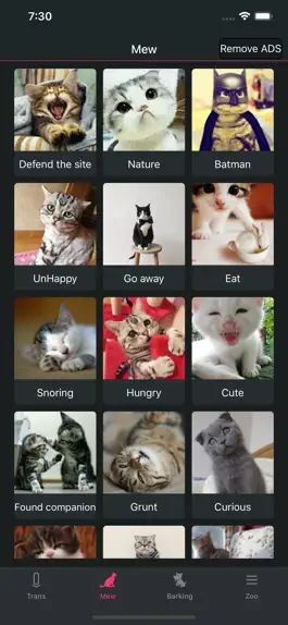 Game screenshot Pet translator - Cat&Dog apk