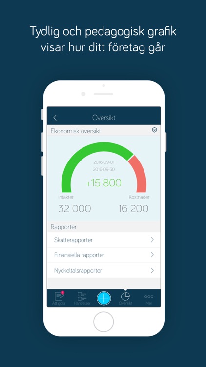 Digitala Företaget screenshot-4